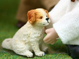 1/12 scale dollshouse miniature  puppy dog