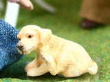 1/12 scale dollshouse miniature  puppy dog