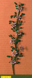 1/12 dollshouse miniature climbing plants