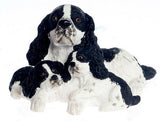 12th scale dollshouse miniature spaniel dog