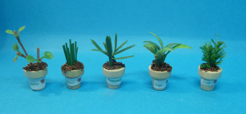 1/12 dollshouse miniature handmade pot of herbs